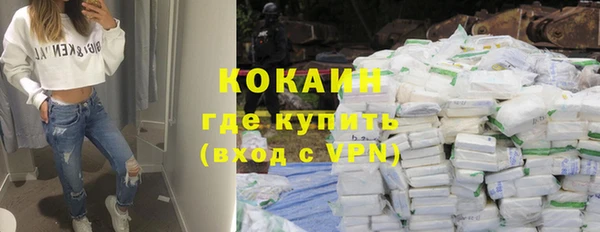 индика Алексин