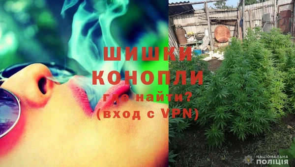 ешки Алзамай