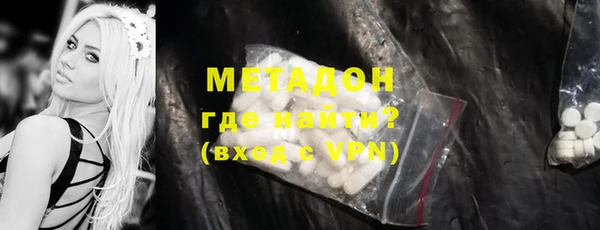 индика Алексин