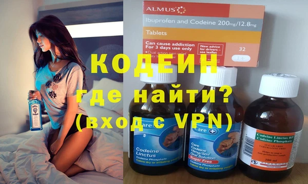 индика Алексин