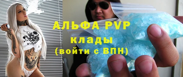 индика Алексин